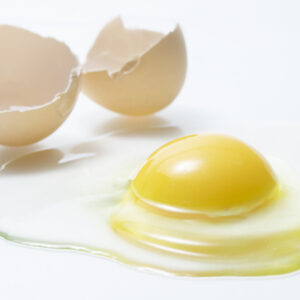 下川六〇酵素卵 Mサイズ 45個（約2.5kg）